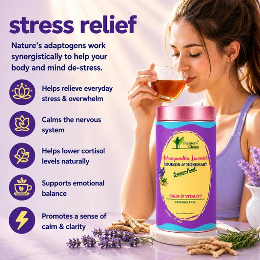 Ashwagandha Lavender Rooibos Rosemary Superfood Tisane