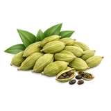 Cardamom