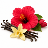 Hibiscus Creme Oolong