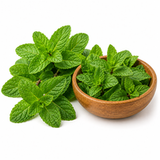 Mint