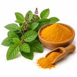 Tulsi Turmeric