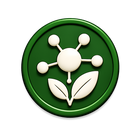 Antioxidant Rich