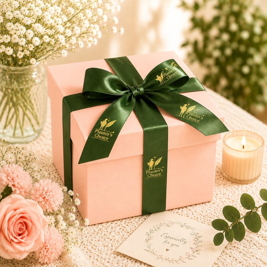 GIFT COLLECTION