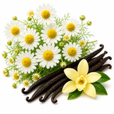 Chamomile Vanilla
