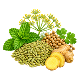 Fennel Peppermint