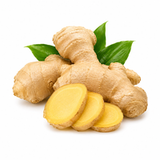 Ginger