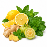 Lemon Mint Ginger